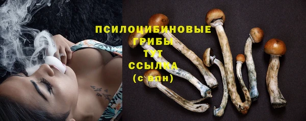 a pvp Аркадак