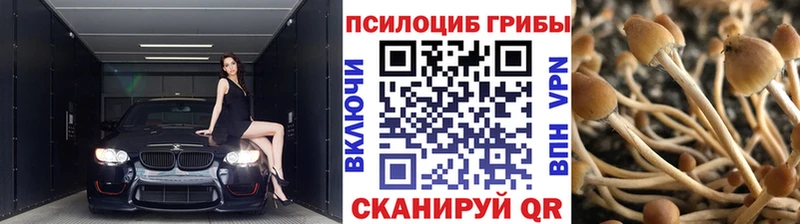 Псилоцибиновые грибы Psilocybe  ссылка на мегу ONION  Свободный 